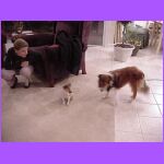 Meeting the Relatives.jpg